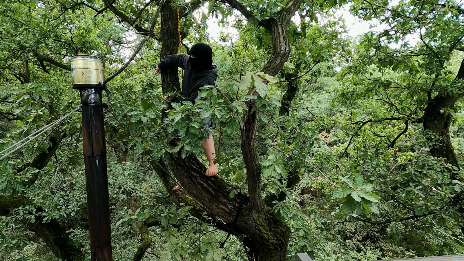 Oliver Ressler, The path is never the same (Filmstill), 2022. Courtesy der Künstler, àngels, Barcelona und The Gallery Apart, Rom © Oliver Ressler, Bildrecht Wien / Vienna 2024